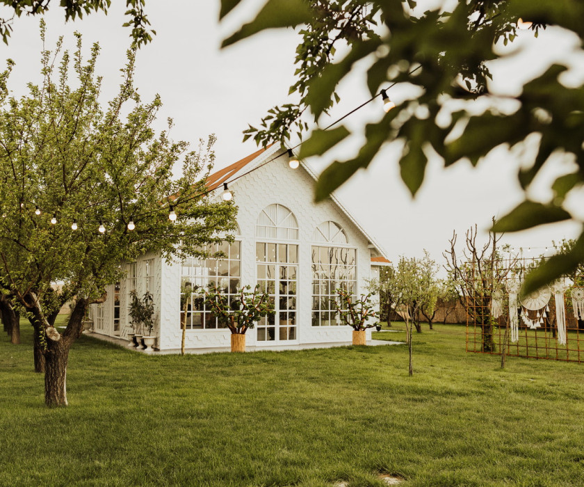 Duru Plato'dan Kareler 1