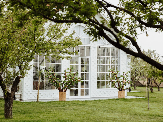 Duru Plato'dan Kareler 3