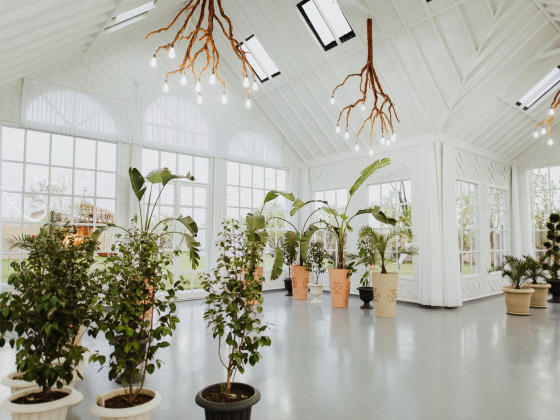 Duru Plato'dan Kareler 4