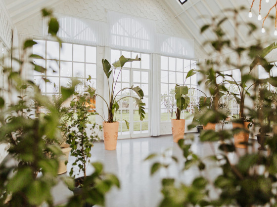 Duru Plato'dan Kareler 5