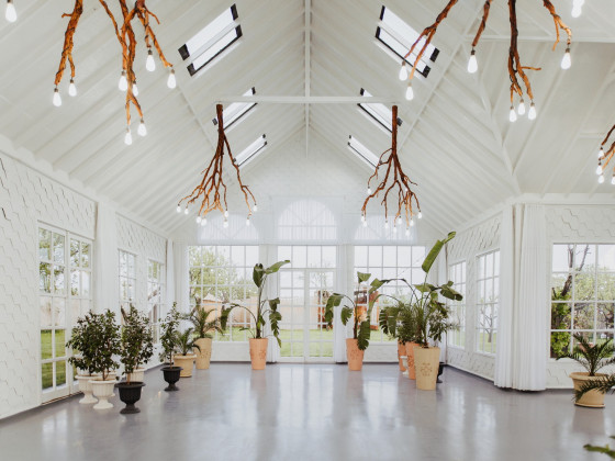 Duru Plato'dan Kareler 6