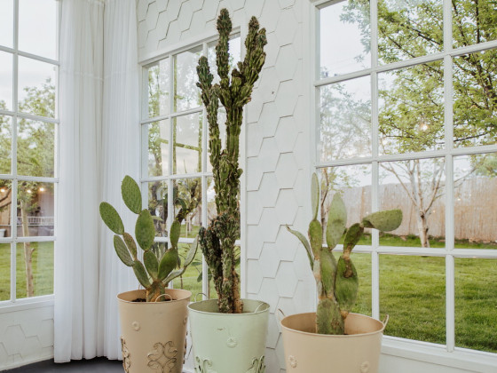 Duru Plato'dan Kareler 7