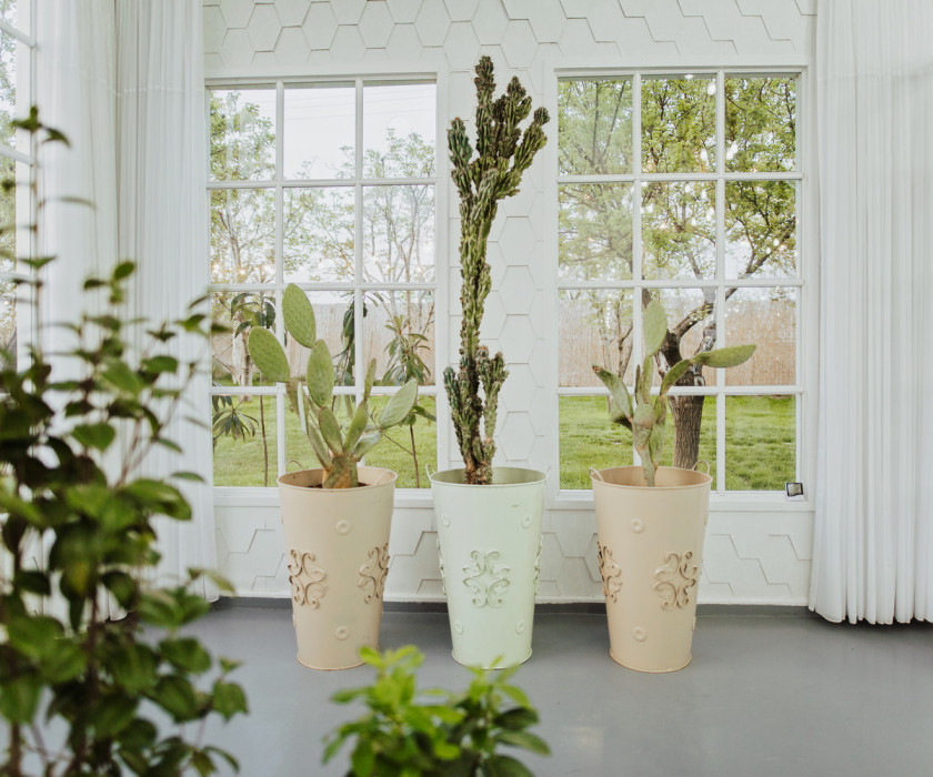 Duru Plato'dan Kareler 8