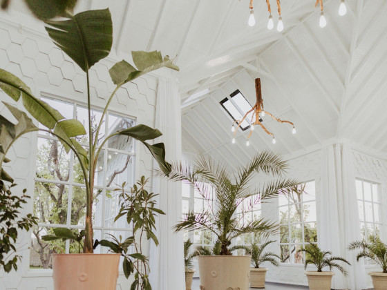 Duru Plato'dan Kareler 10