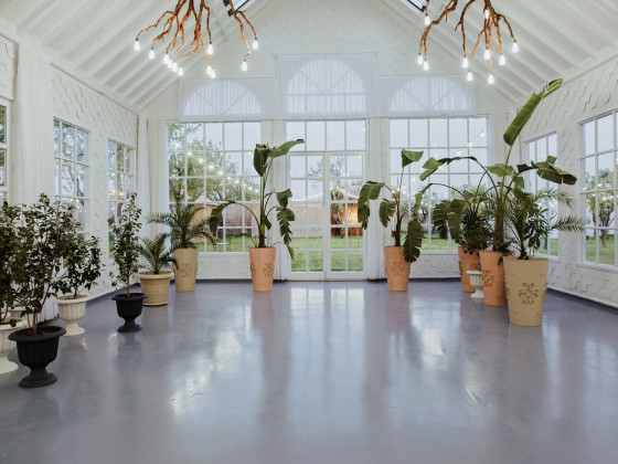 Duru Plato'dan Kareler 11