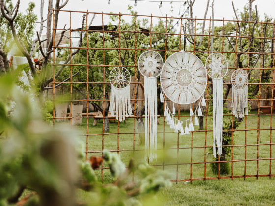 Duru Plato'dan Kareler 14