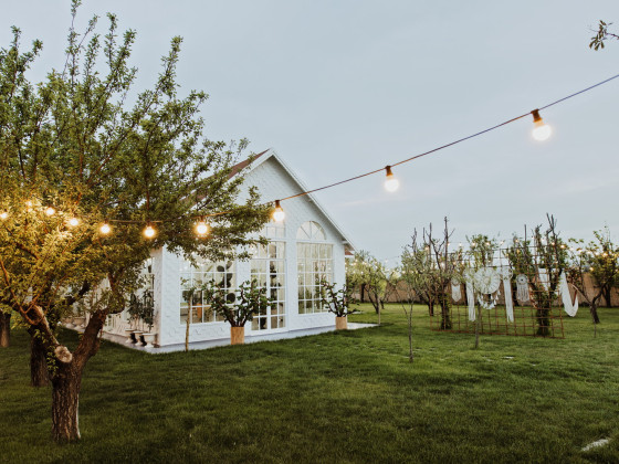 Duru Plato'dan Kareler 15