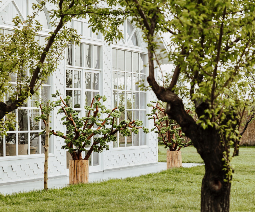 Duru Plato'dan Kareler 16