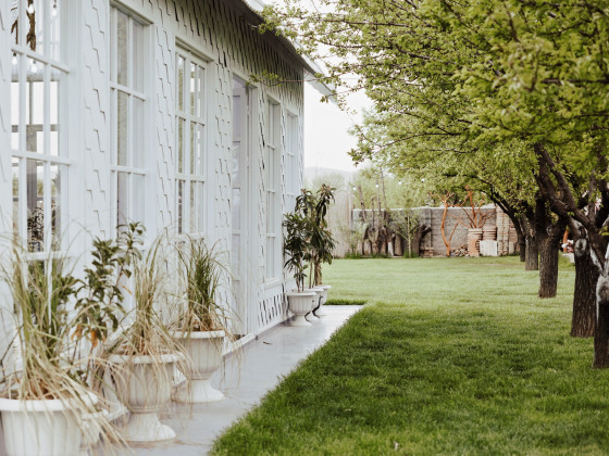 Duru Plato'dan Kareler 19