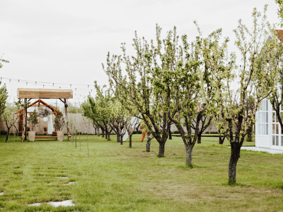 Duru Plato'dan Kareler 20