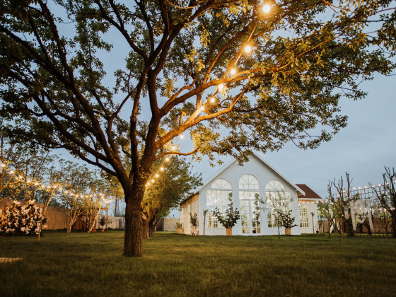 Duru Plato'dan Kareler 21