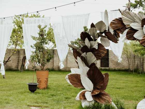 Duru Plato'dan Kareler 22