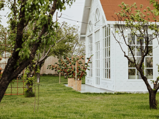 Duru Plato'dan Kareler 25